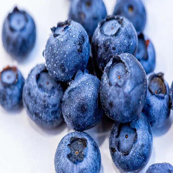 Fresh Berries Blueberry farm price