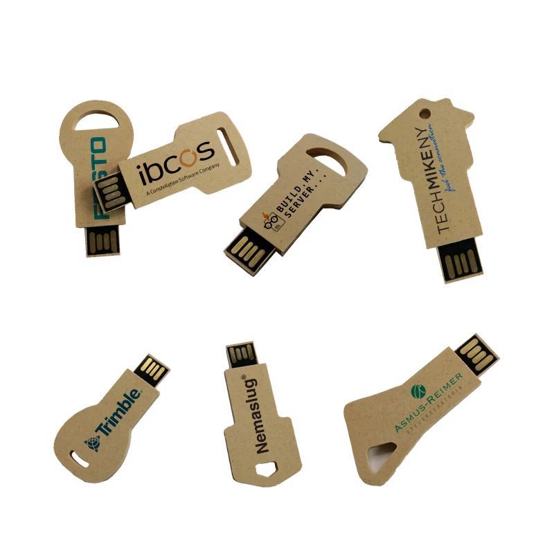 Key Wood USB Custom Disk High Speed Memory Stick Eco-friendly Factory Thin Black Usb Fash Drive Pendrive 16GB Usb2.0 3.0