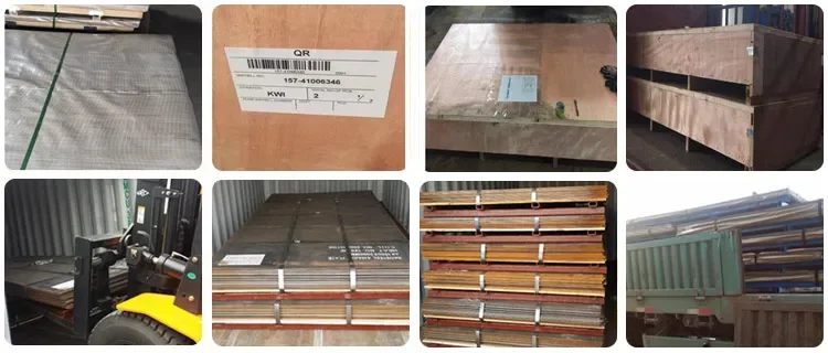 paste-pic-dp_uuid_yqdng