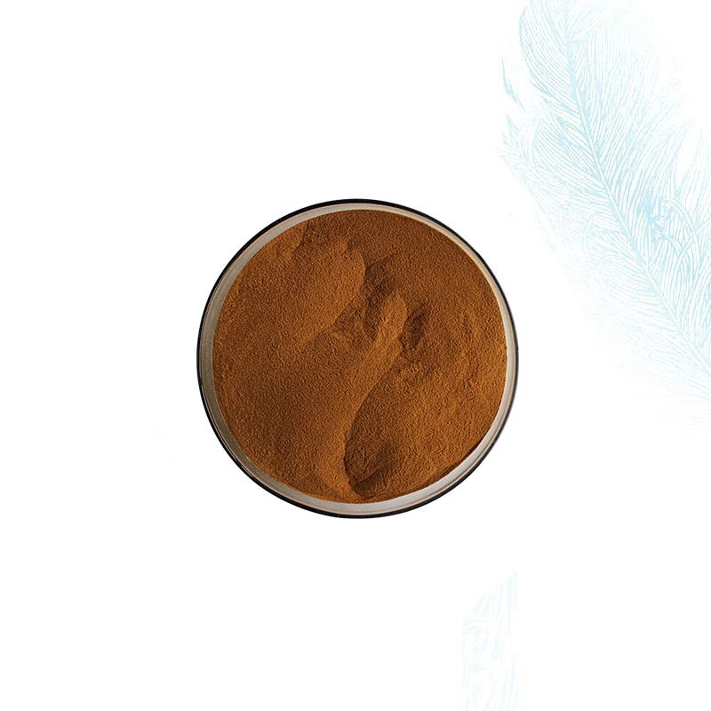 Chinese supply high quality bulk price lotus root extract