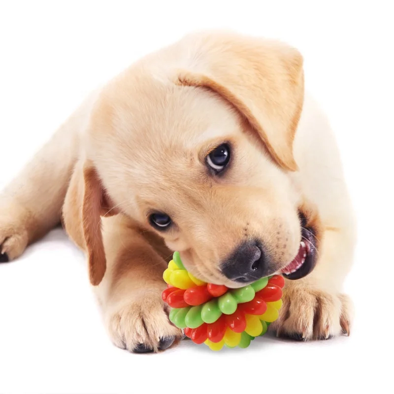 Wellfine 2022 New Arrivals Interactive Pet Chew Toys Indestructable Cat Dog Toys Ball Durable Dog Teeth Cleaning Toy