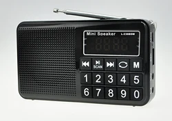 Dewant L-238BSW portable fm am sw world full all band digital radio receiver