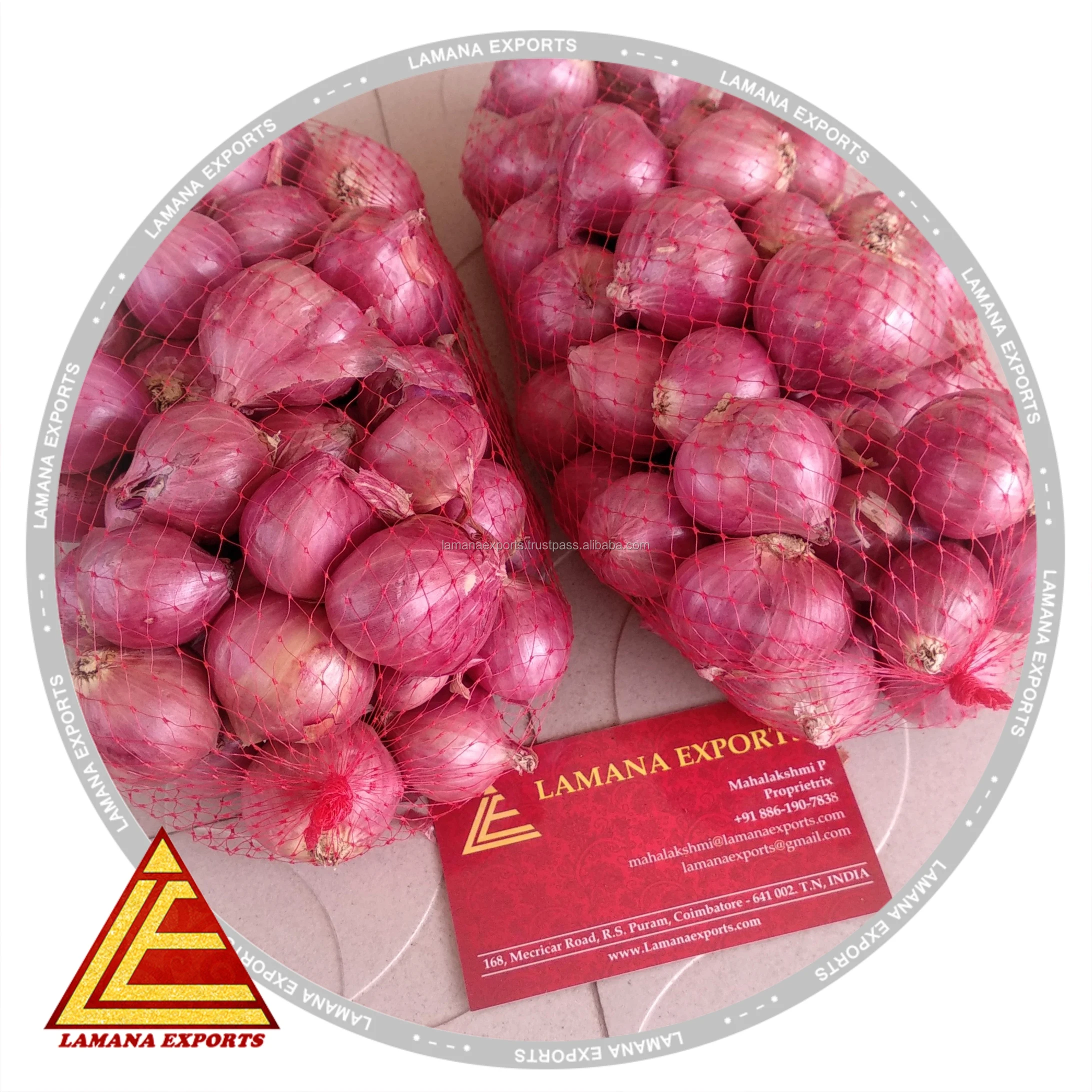 
Shallot Podisu Onion for Malayasia sambar onion 