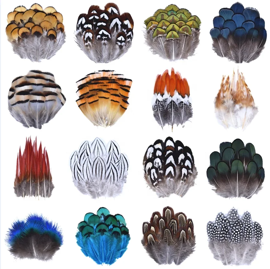 Wholesale Natural Peacock Pheasant Feather Ostrich Plumes for Needlework Handicrafts Headdress Small Decor Jewelry Creation