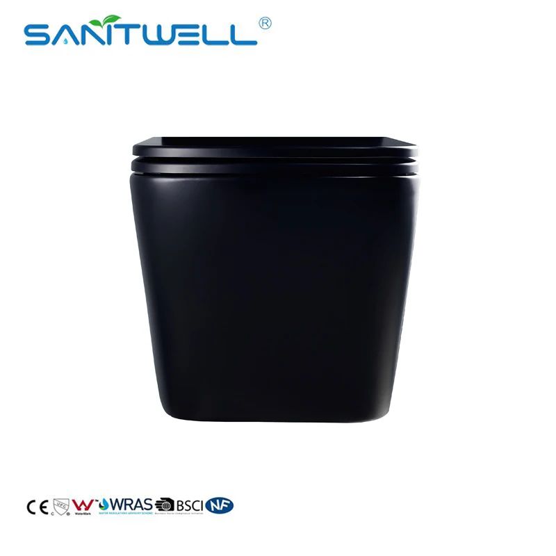 Современный унитаз без