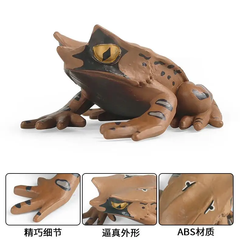 yxs children cognitive simulation animal model triangle dry leaf tree  toad Darwin toy