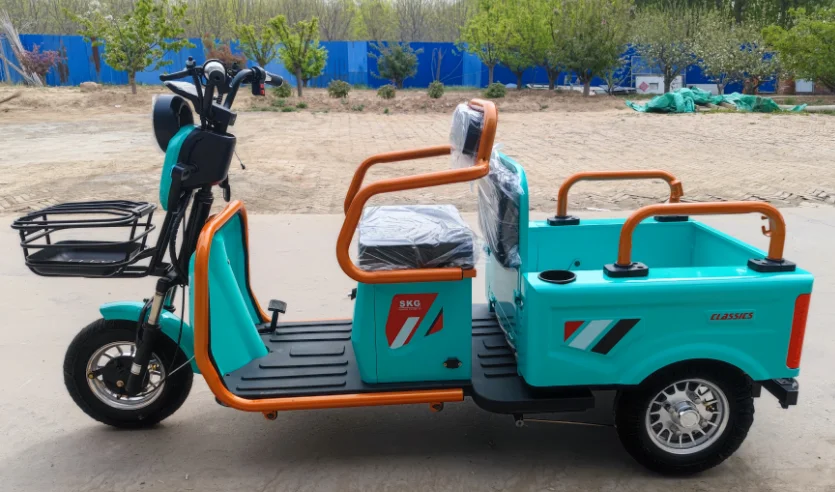 China 48V 600/800W Three Wheeled Motorcycles People Elderly 3 Wheel Motorcycle Cargo Electric Tricycle For Adults