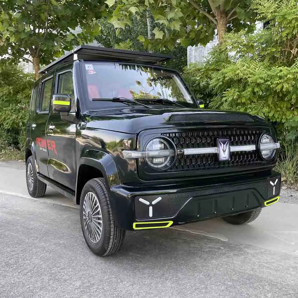 New Energy Low Speed tank 300 Off-road Vehicle