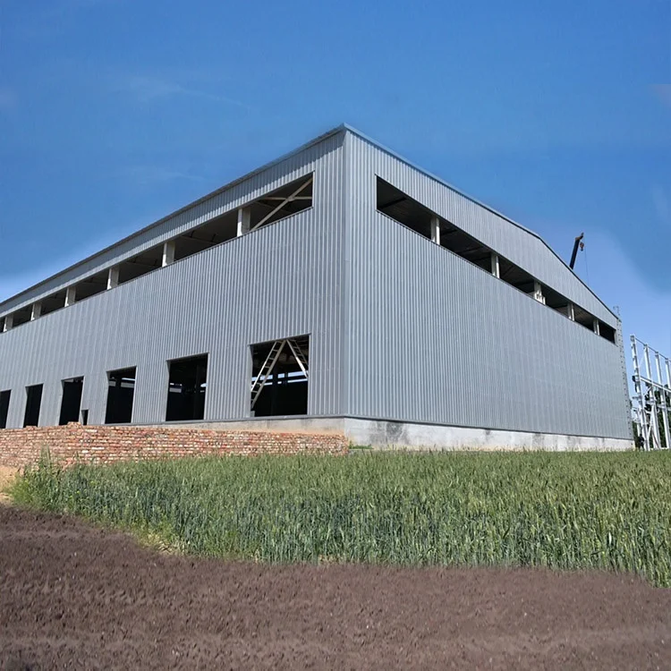 Hebei Prefab Steel Frame Workshop Garage Shed Metal Steel Structure Buildings Warehouse