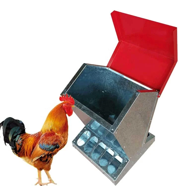 
Feeder Chickens Home Poultry Farm Equipment Hot Dipped Galvanized Chicken Breeder 