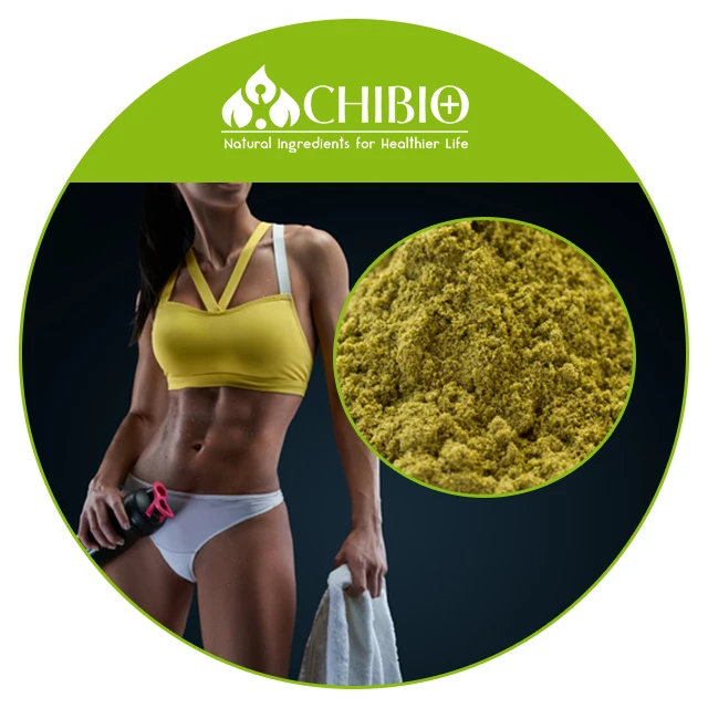 Best Selling High Quality Affordable Top Hemp Protein Supplements for Bodybuilding and Muscle Gain