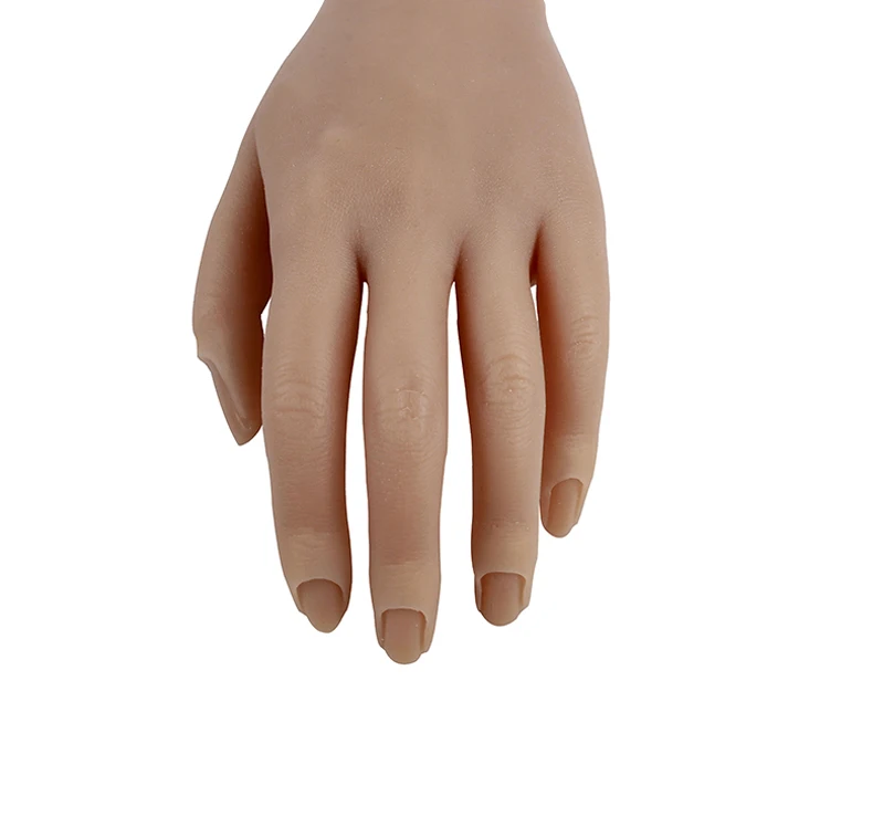 3d Model Nails Can Move And Display Hand Nail Molds Flexibly