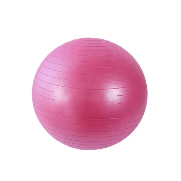 
Stability Training Fitness Exercise Balance Gym Yoga Ball 