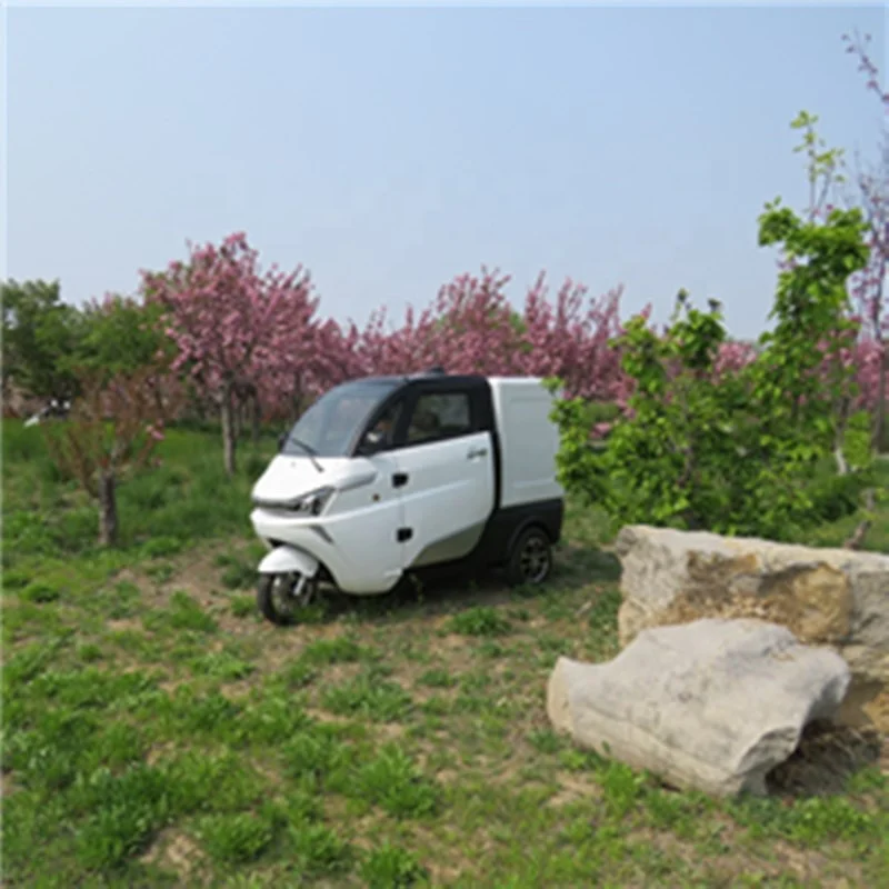 Инновационные пассажирские электрические трехколесные автомобили с сертификацией EEC для путешествий на коротких расстояниях