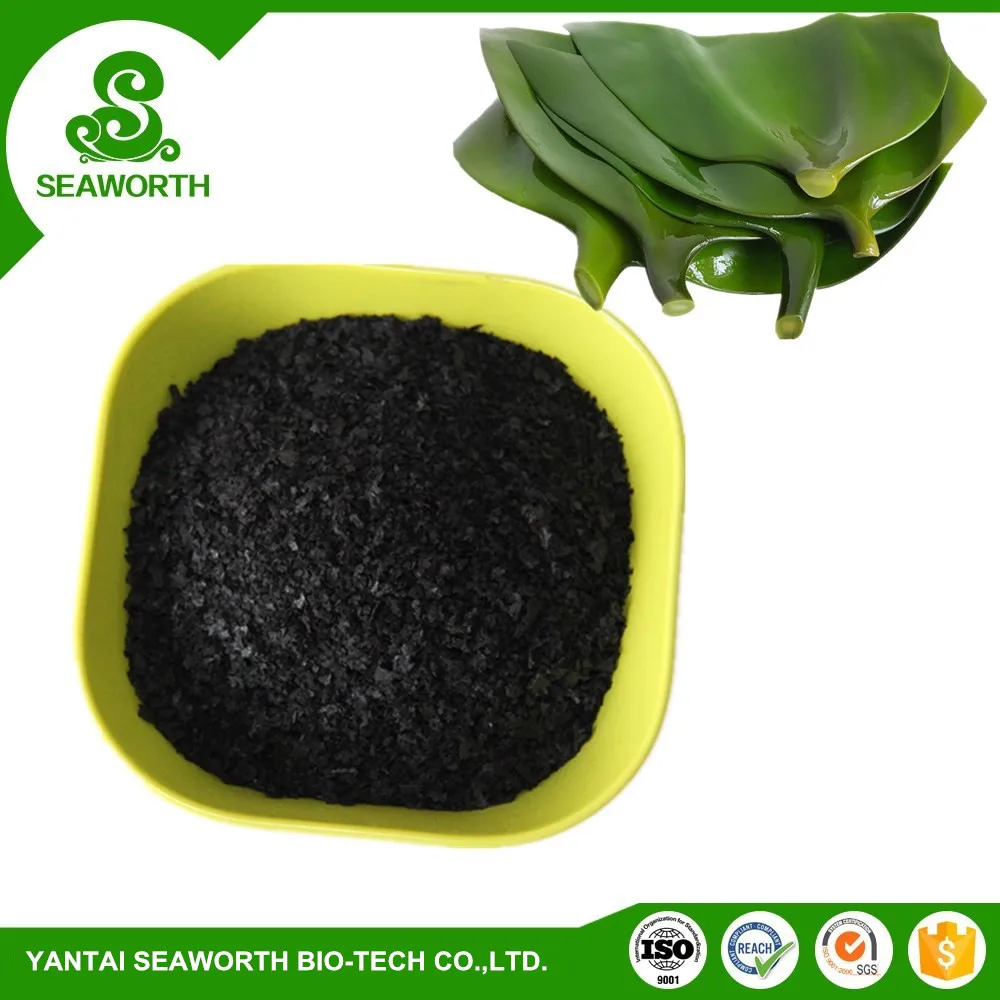 Discount granular kelp fertiliser with low price