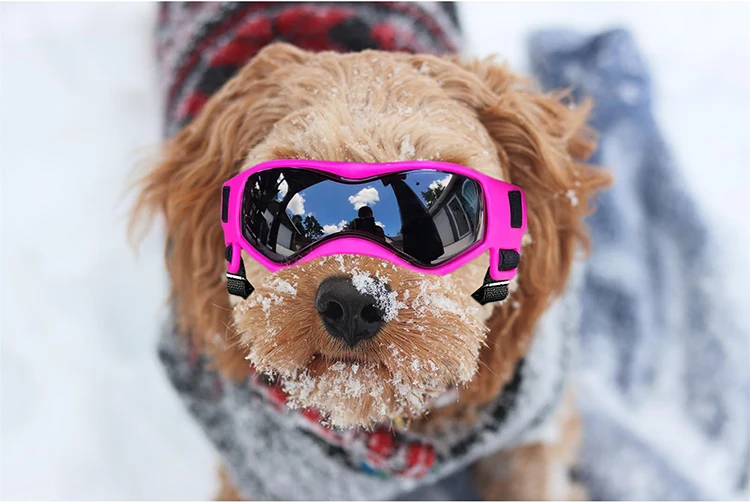 with Adjustable Strap Dog Glasses Dog Ski Goggles UV Protection Pet Sunglasses