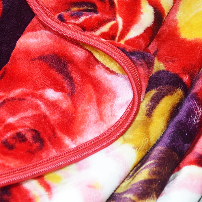100% Polyester Design Double Printing 220*240 Flannel Blanket