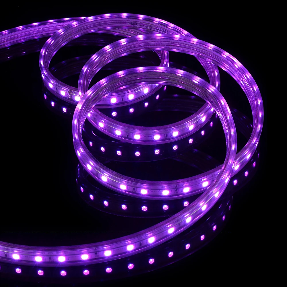 AC220V SMD5050 8W 10W RGB smd led strip 100m flexible strip IP65 smd strip light