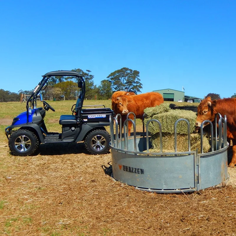 FarmBoss 200cc 4x2 dune buggy petrol utv
