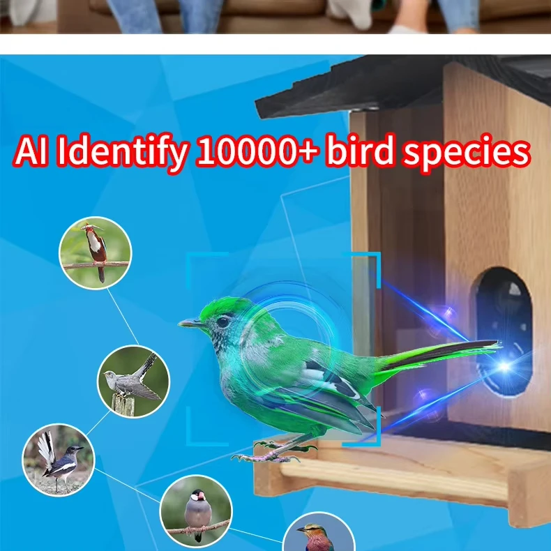 Solid Wood Visual Birdwatcher Smart Bird Feeder with Camera Automatic Bowl feeder for Food Plastic Material