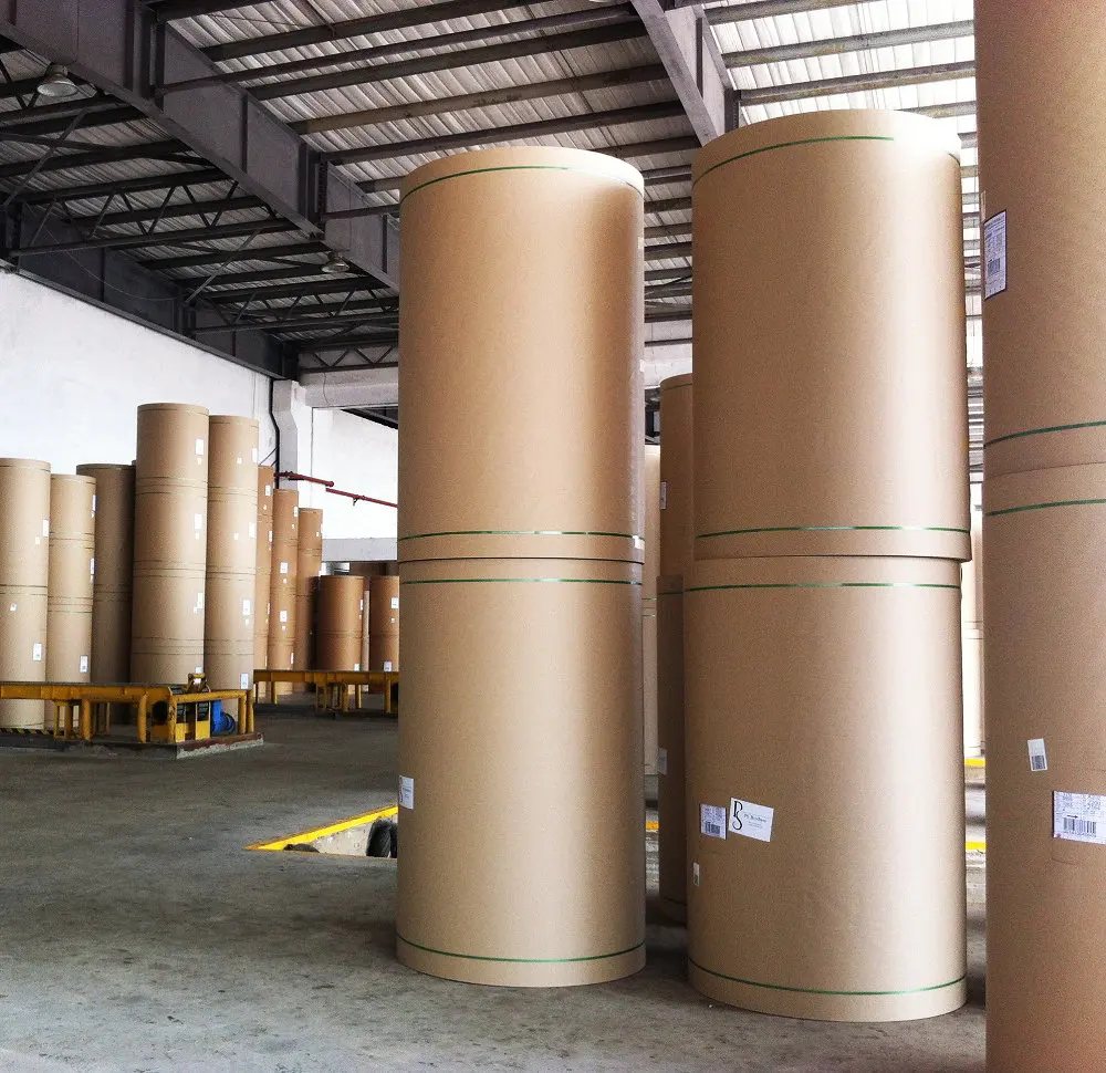 450gsm two side lined kraft liner for file folder