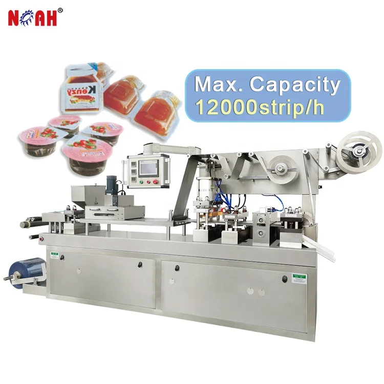 DPB-250 Automatic Blister Packaging Machine Pill Tablet Capsule Packing Machine