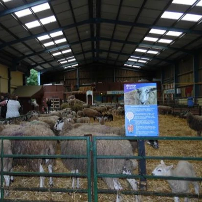 Goat Sheep Steel Structure Farmhouse