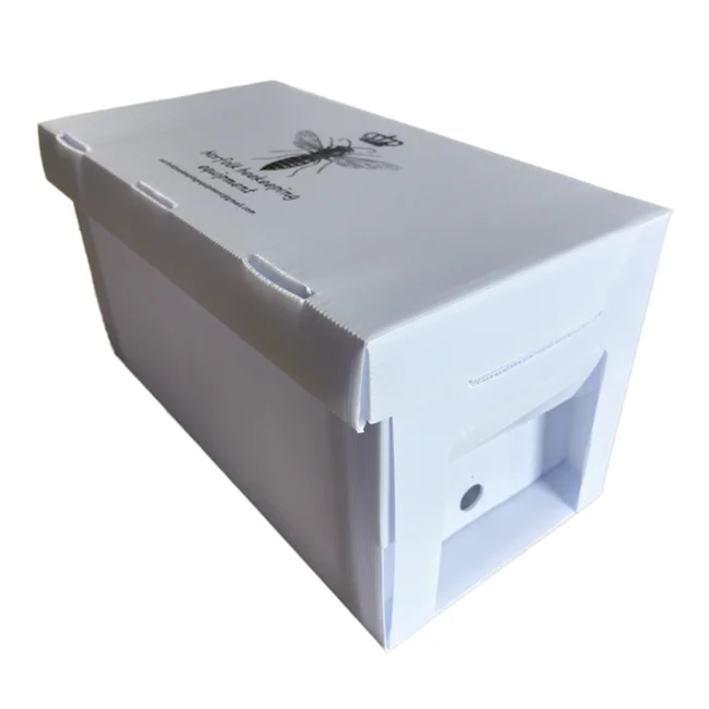 Инструмент для пчеловодства Nuc Corflute пластиковый ящик пчелиного улья Correx Beehive