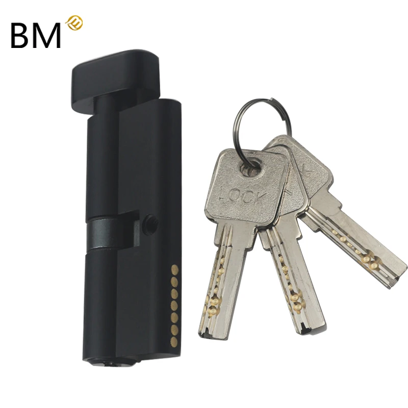 Zinc Series Europe standard mortise lock door lock cylinder with computer keys