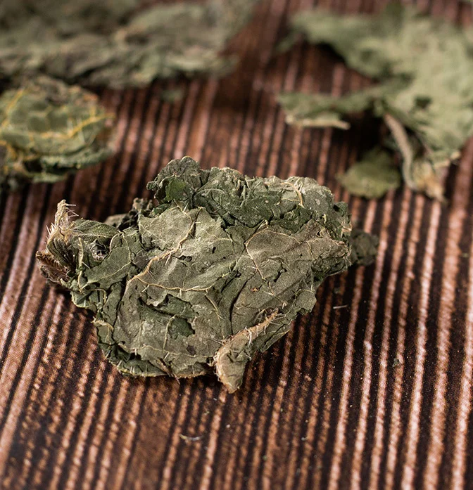 Factory supply herb Pure natural no add New crops dry Nettle