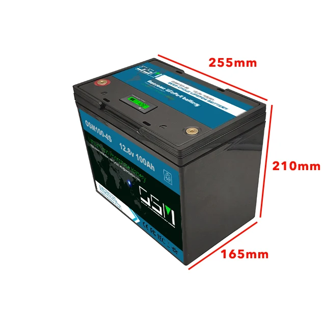 Chins 12v 100ah Lifepo4 Deep Cycle Battery 150ah 200ah 250ah 300ah Lfp Leoch Black CE ABS