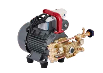 High-Pressure Double Cylinder Plunger Pump for Portable Pesticide Sprayer