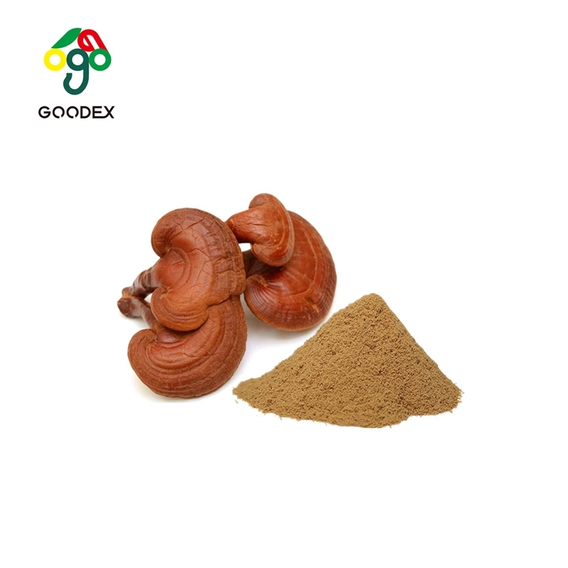 lingzhi Ganoderma & Reishi Extract 50% Polysaccharides / OEM