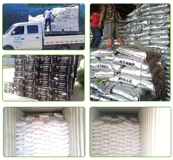 NPK 20-20-20 high quality water soluble fertilizer for fruit tree, vegetables