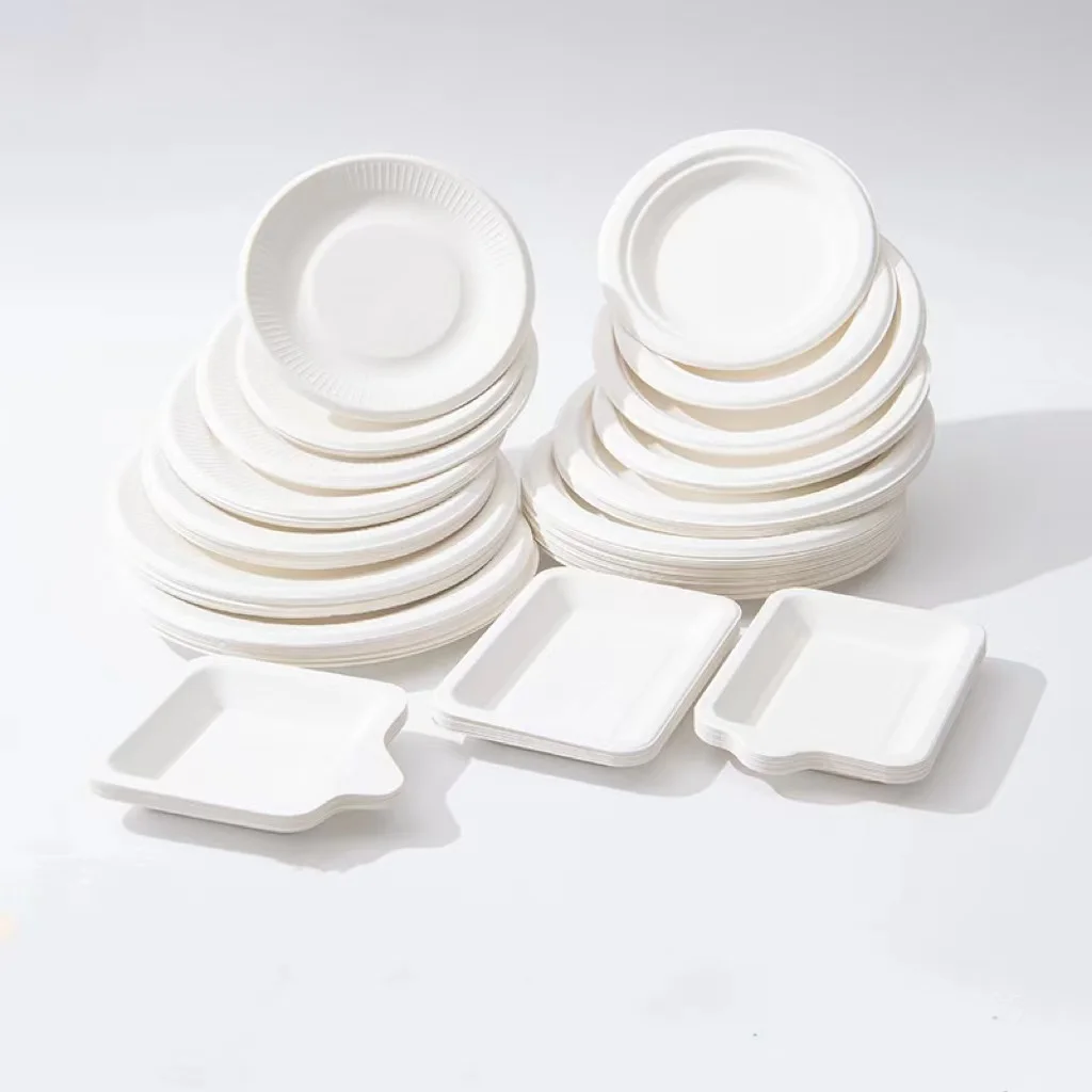 Disposable Compostable Eco-friendly Biodegradable Bio Small Mini Food plate sugarcane square plates sets dinnerware  restaurant