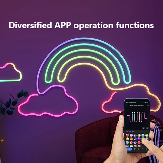 Banqcn RGBIC 3M 5M Digital Flex Smart Strip Light Tape Kit 12V 24V Silicone RGB Flexible LED Neon Rope Lights