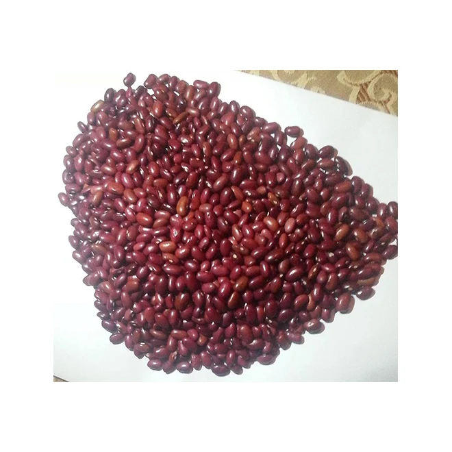 Common Healthy Natural Good High Quality And Hot Seller Red Kidney Beans(Gojam) For Wholesale
