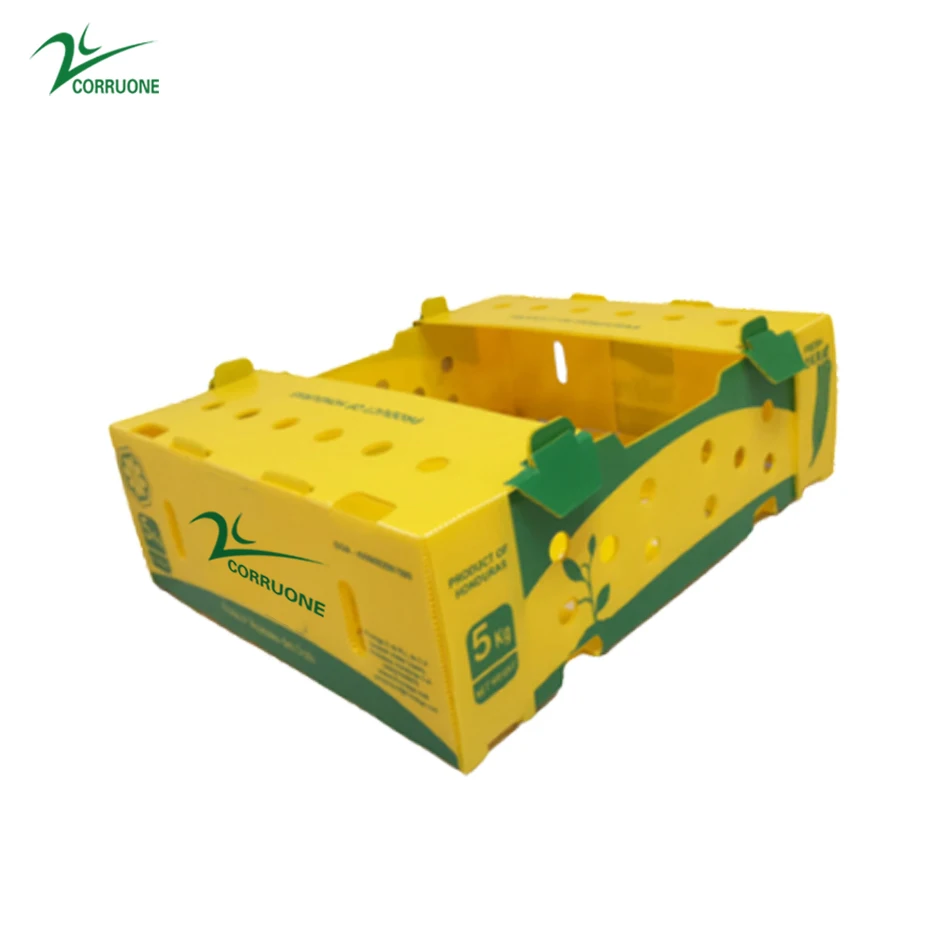PP Plastic Corrugated Foldable Potato Packaging Tomato Broccoli Vegetable Storage Box Polypropylene Corflute Plastic Container