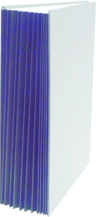 
A4 Signature File with Elastic Band 