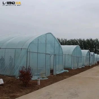 Cheap Price Multi Span Plastic Film Hydroponic Greenhouse For Agricultural Greenhouse