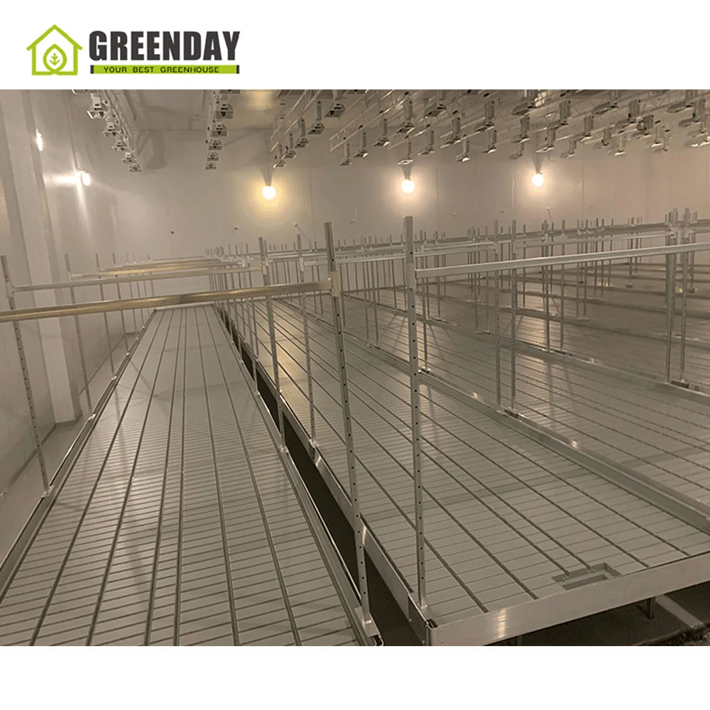 
GREENDAY Greenhouse fodder seed germination tray for sale 