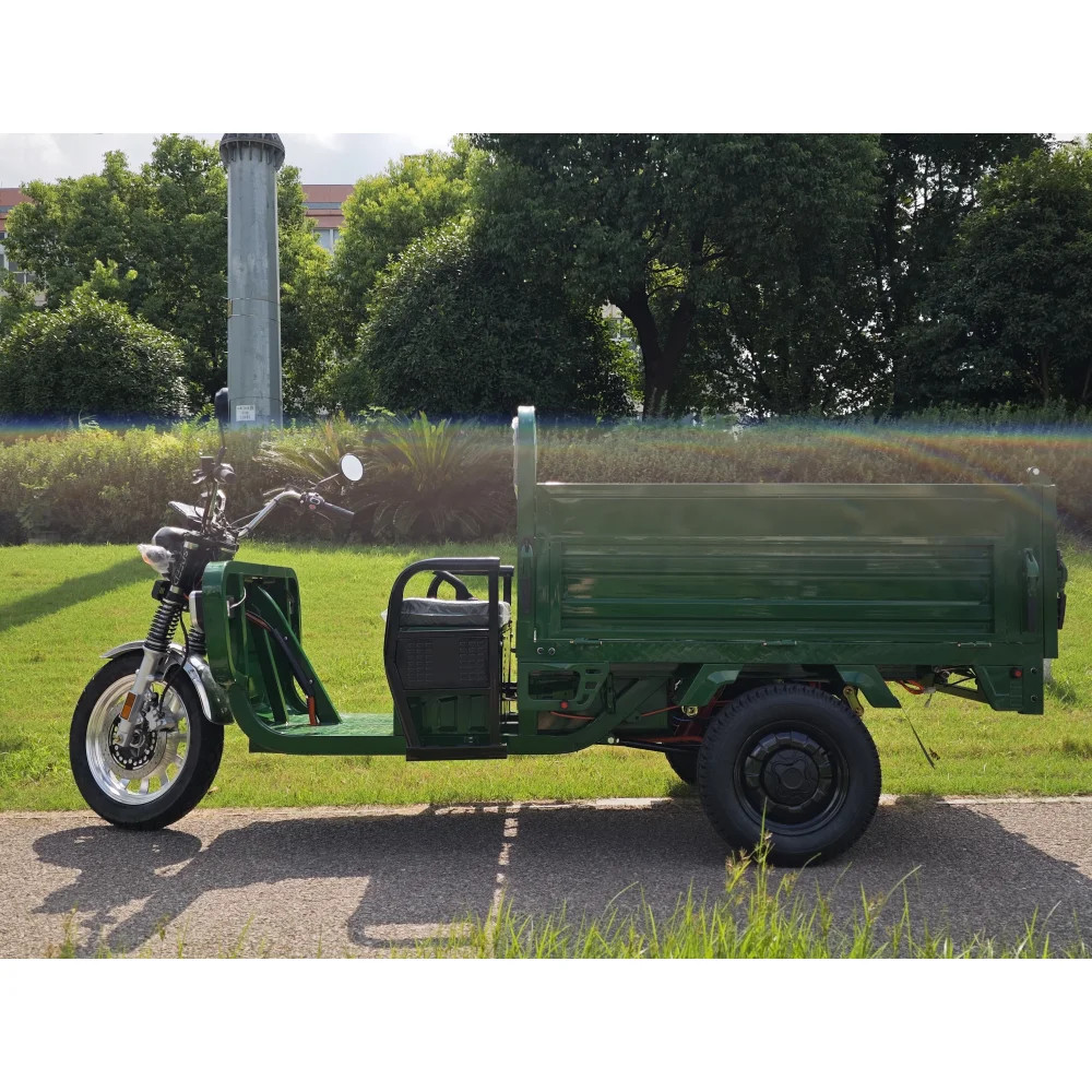 COC Agricultural Tricycle Big Size Adult Open Body Type Trike Three Wheel Cargo for Farm and Warehouse Transport