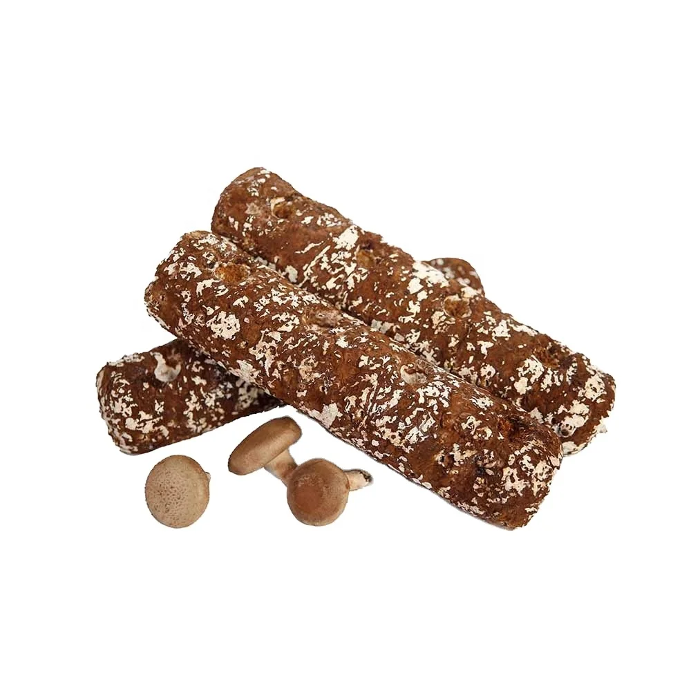 Organic sell like hot cakes shiitake mushroom mycelium seller