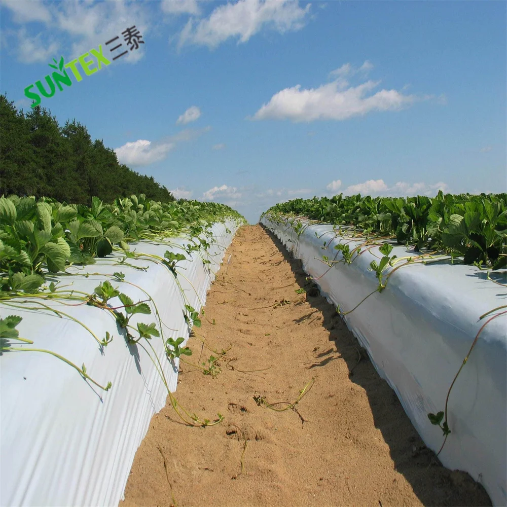 20 micron 1.2*1000m White on Black Plastic Mulch Film, Control Weed Ground Cover Poly Film