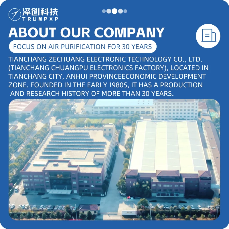 TCB-25 Wholesale Portable Ceramic Ozone Generator mini air purifier ozone generator