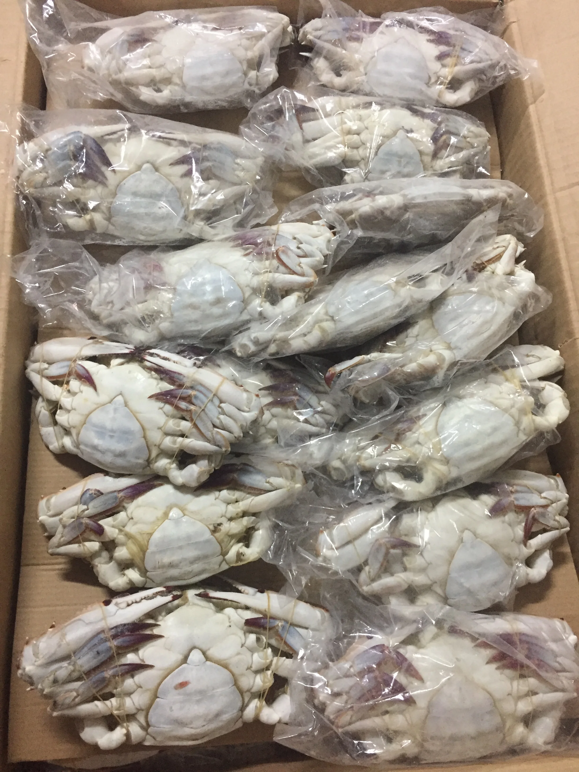 Все замороженные синий краб плавания