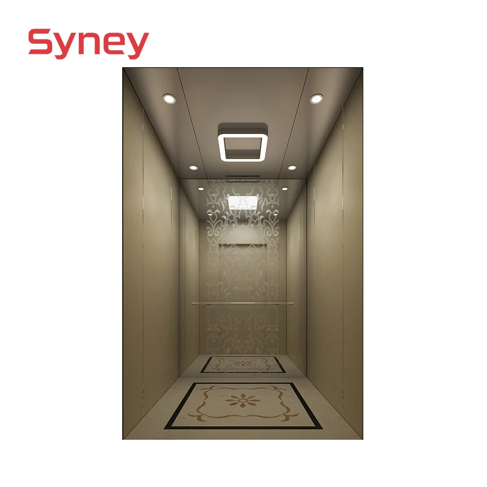 Residential Home Elevator Safety Lift Panoramic Glass Large Capacity Customized Passenger Elevator