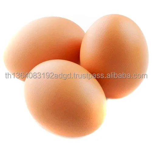 hen-egg-500x500.jpg