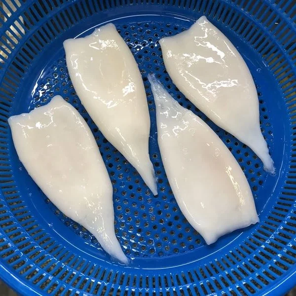 Cheap Price Todarodes Squid Tube Head Off Loligo Squid Tube U5 U10 Bartirami Squid Tubes Unclean For Market