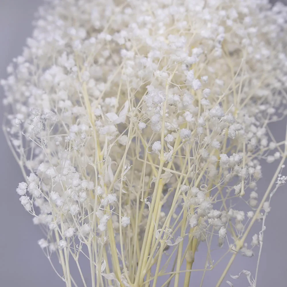 UKIQUEEN Wholesale 70cm Bleached White Decorative Dried Flowers Baby Breath Preserved Gypsophila